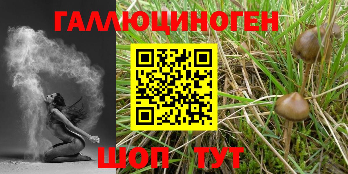 Галлюциногенные грибы Magic Shrooms Сегежа