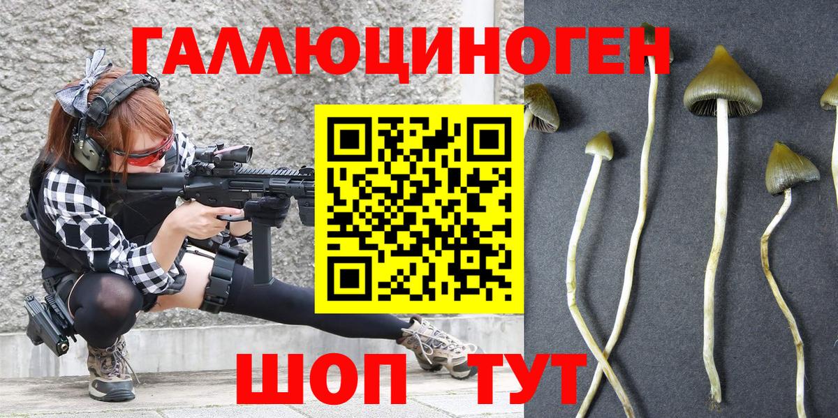 Псилоцибиновые грибы прущие грибы  Вход с VPN  Сегежа 